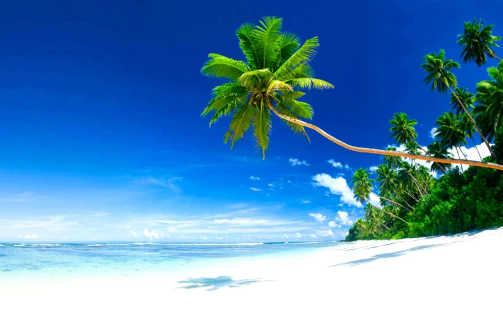 Paradise Beach (
