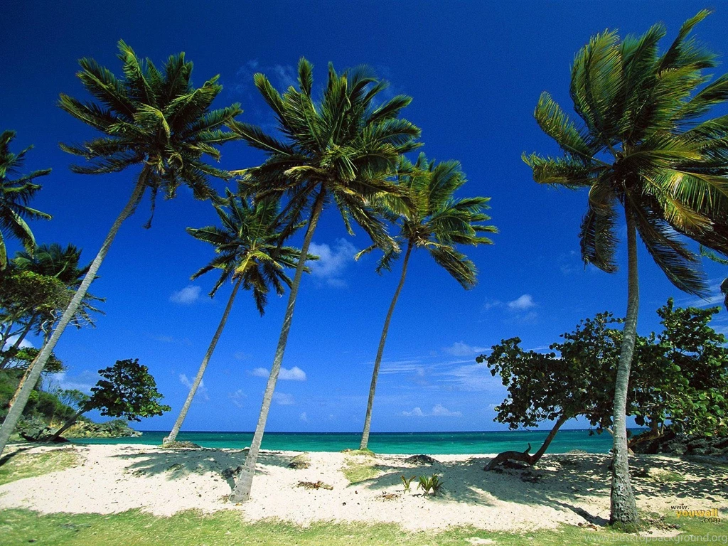 YouWall Paradise Beach Wallpapers Wallpaper,wallpapers,free ...