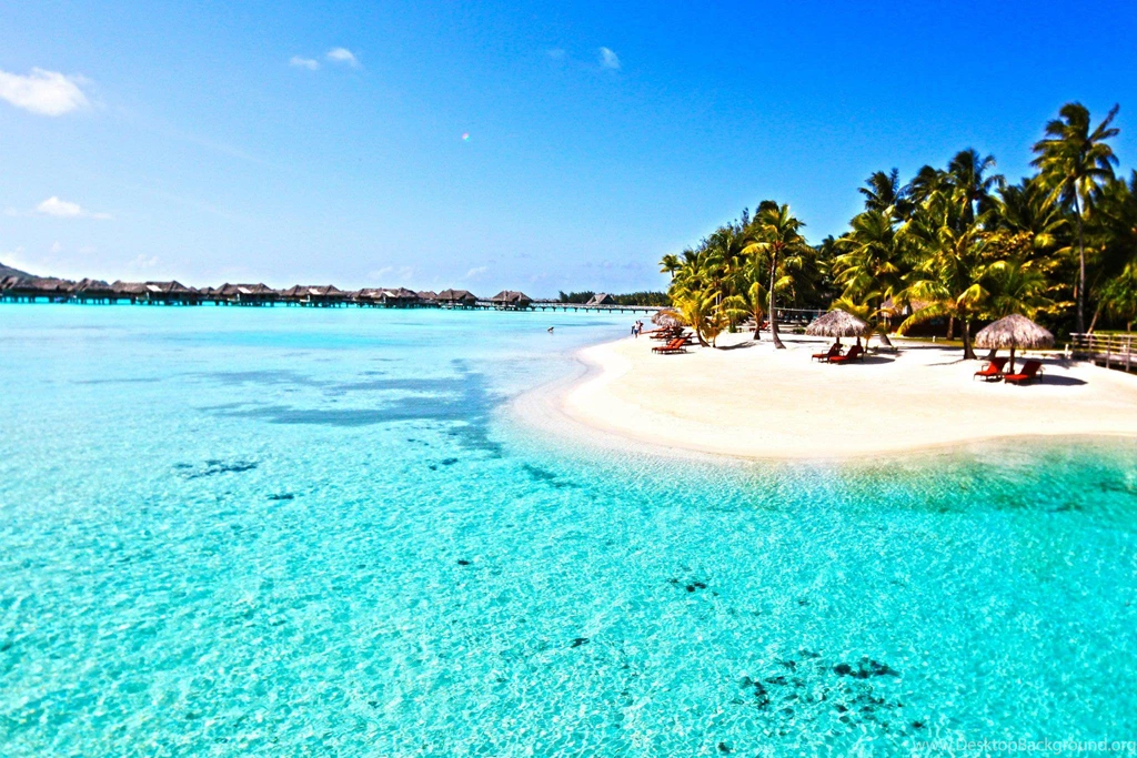 Paradise Beach Beautiful Exotic Island Nature Paradise ...