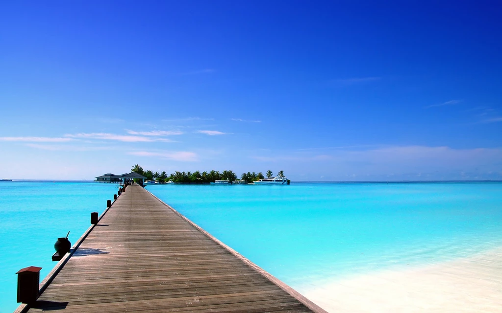 Wallpapers Palm Trees Beach Sea Paradise Desktop Hd Desktop ...