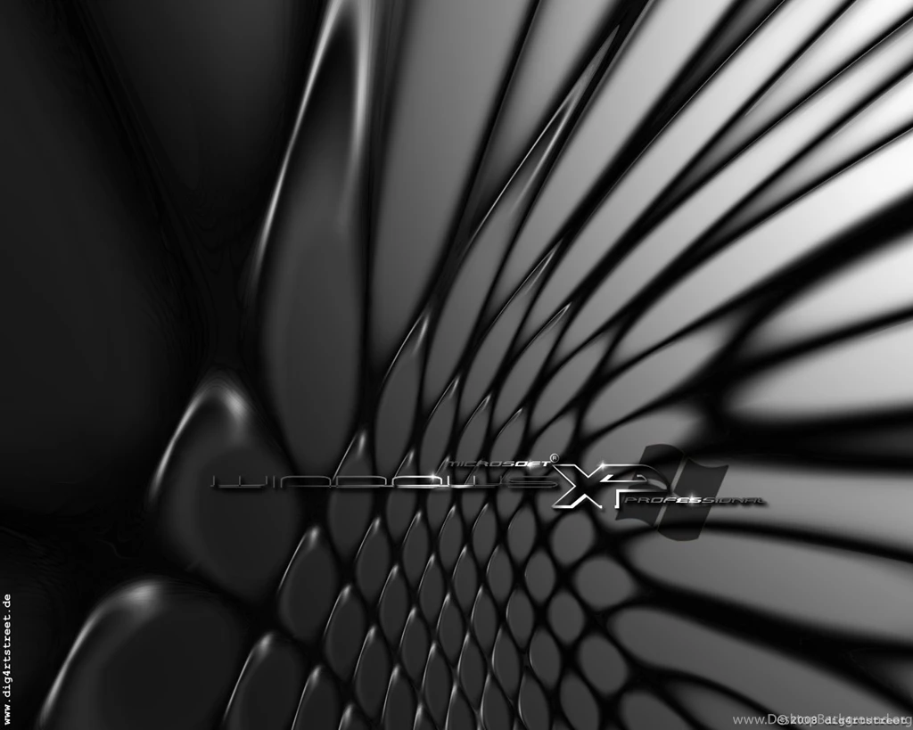 Windows xp wallpaper black