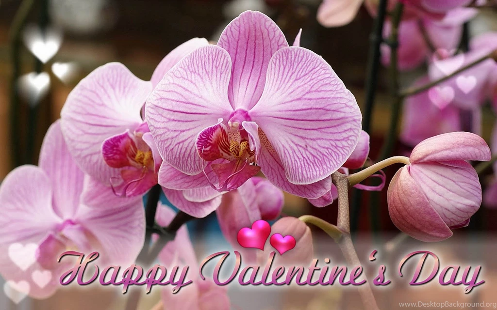 Wallpapers: Valentines Day Desktop Wallpapers