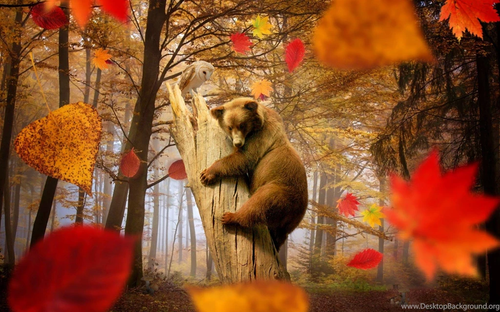 Autumn Joy >> HD Wallpaper, Get It Now!
