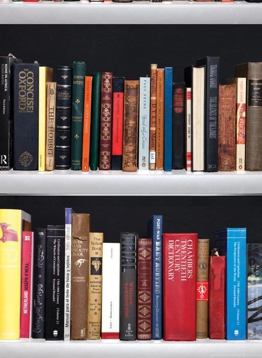 White Trompe L'oeil Bookshelves Wallpapers By Studio Mold