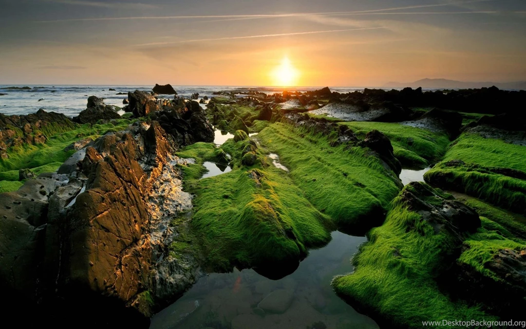 Beauty Of Nature In India Wallpapers