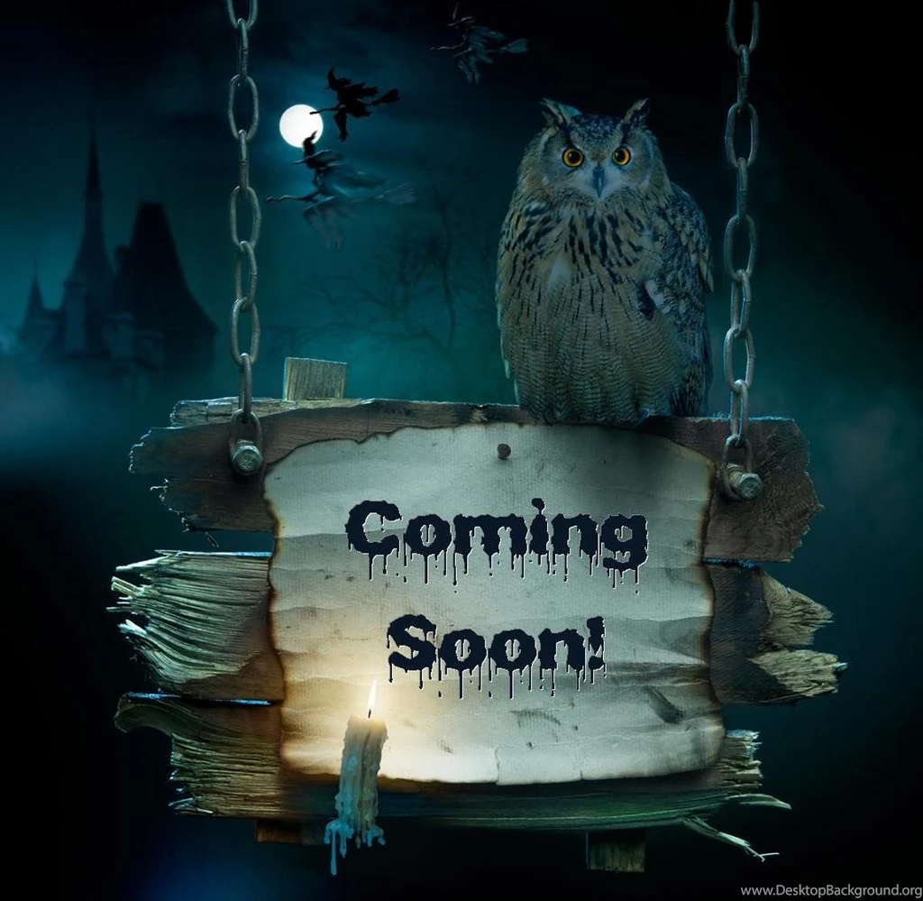 Birds: COMING SOON Halloween Owl Free Desktop Backgrounds For HD 16 ...