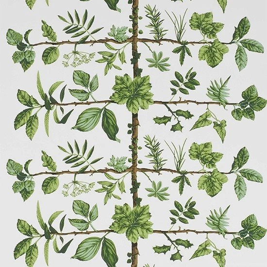 Espalier Wallpapers From Pierre Frey