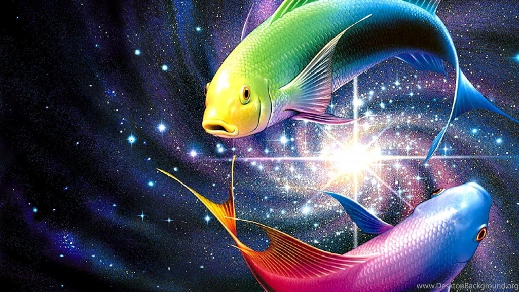 Colour Fish Wallpapers » WallDevil   Best Free HD Desktop And ...