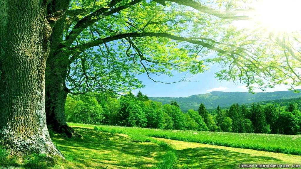 Nature Wallpapers HD