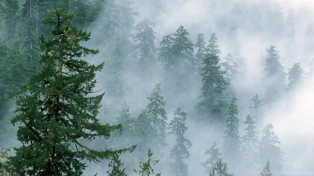 Olympic, National, Park, Washington, Wallpaper, Clouds, Combing ...