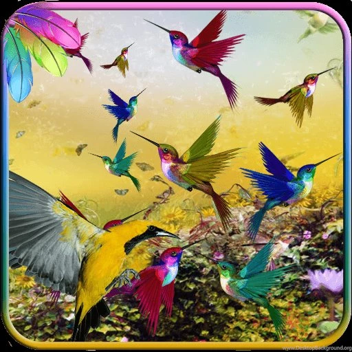 Free Live Wallpapers For Android Mobile   Wallpapers Zone