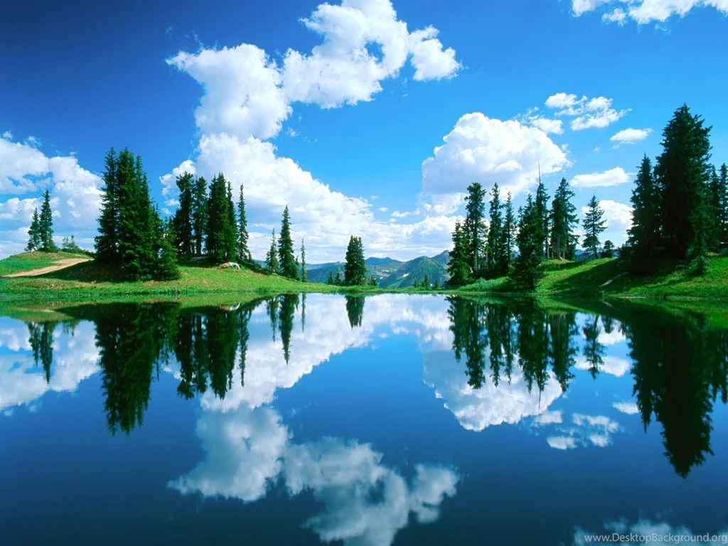 Alpine Colorado Forest Gunnison Lake National HD Wallpapers