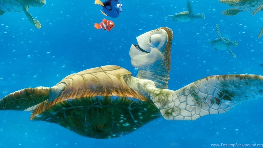 Finding Nemo Turtle Movies Cartoon Hd Wallpapers (