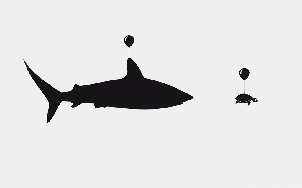 Funny Turtle Wallpapers