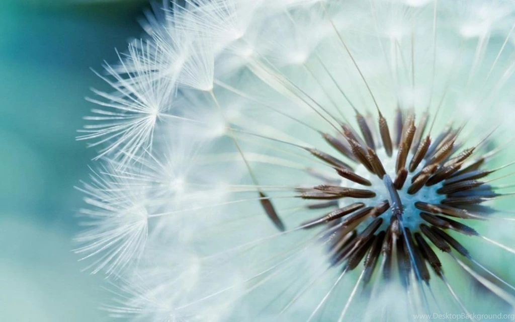 Galaxy S4 Wallpapers HD Android Apps And Tests AndroidPIT