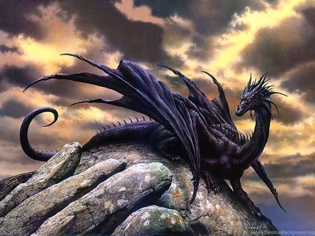 Black Dragon HD Desktop Backgrounds Wallpapers Attachment 10142 ...