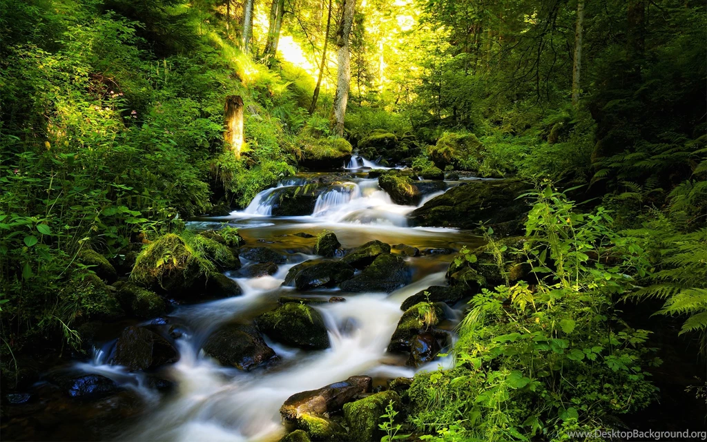 River Nature HD Wallpapers HD Wallpaper Backgrounds Of Your Choice