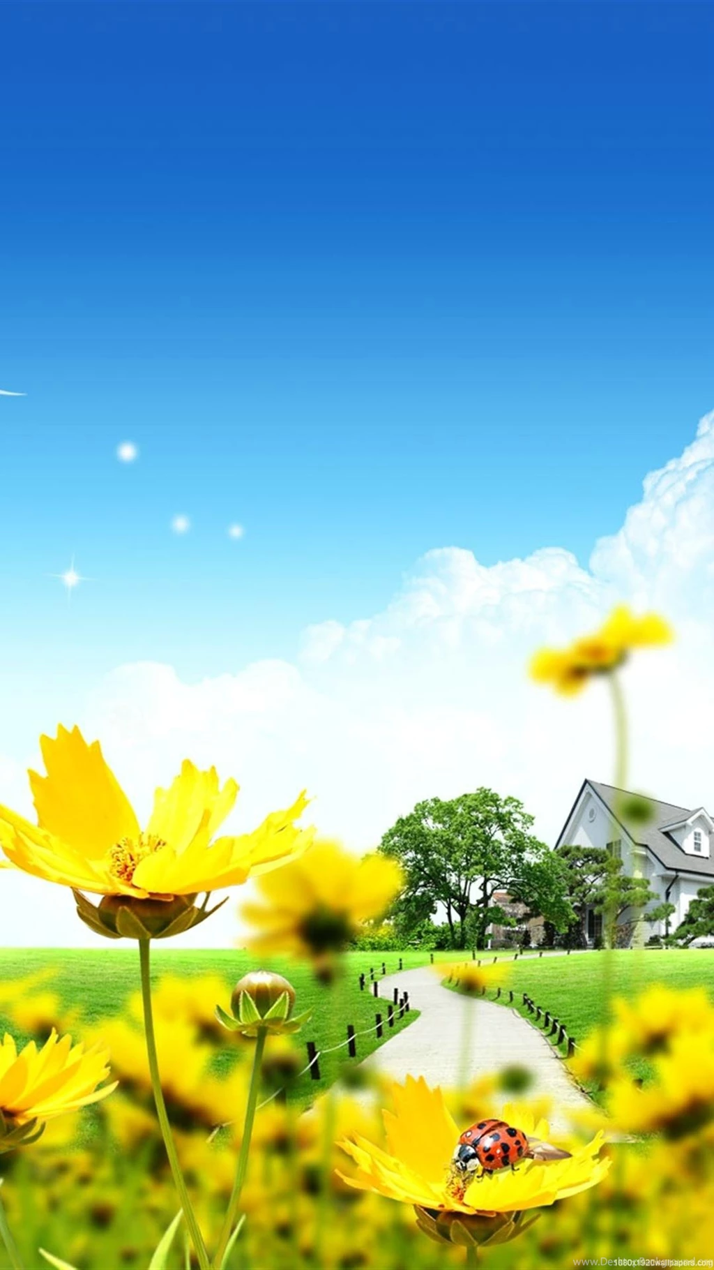 1080x1920 Beautiful Flower Wallpapers HD