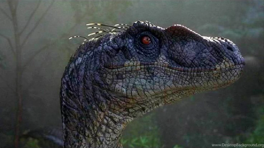 Jurassic Park III' Brings The Original Trilogy To An End With A ...