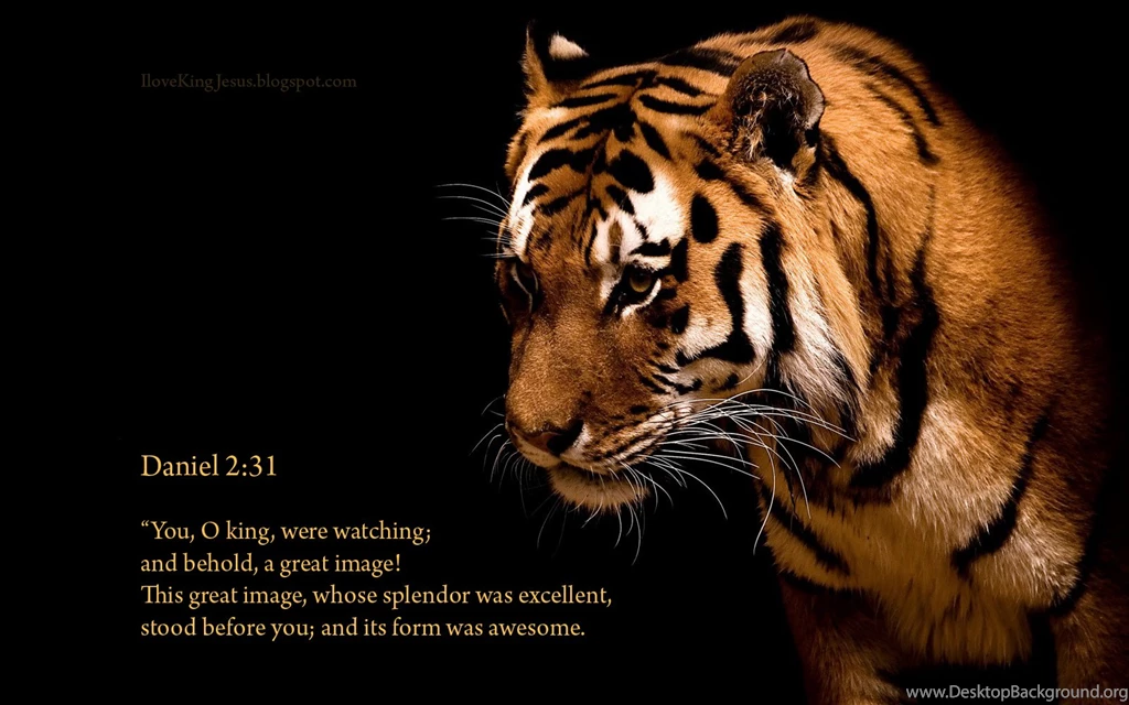 Awesome Tiger Wallpapers   Christian Wallpapers And Backgrounds