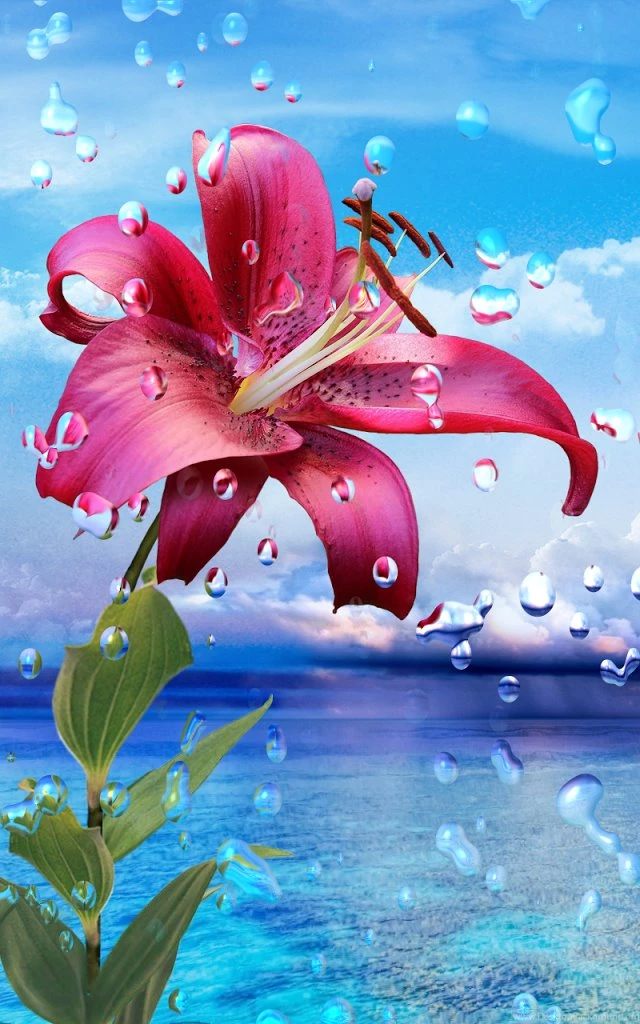 Hd Wallpapers For Mobile