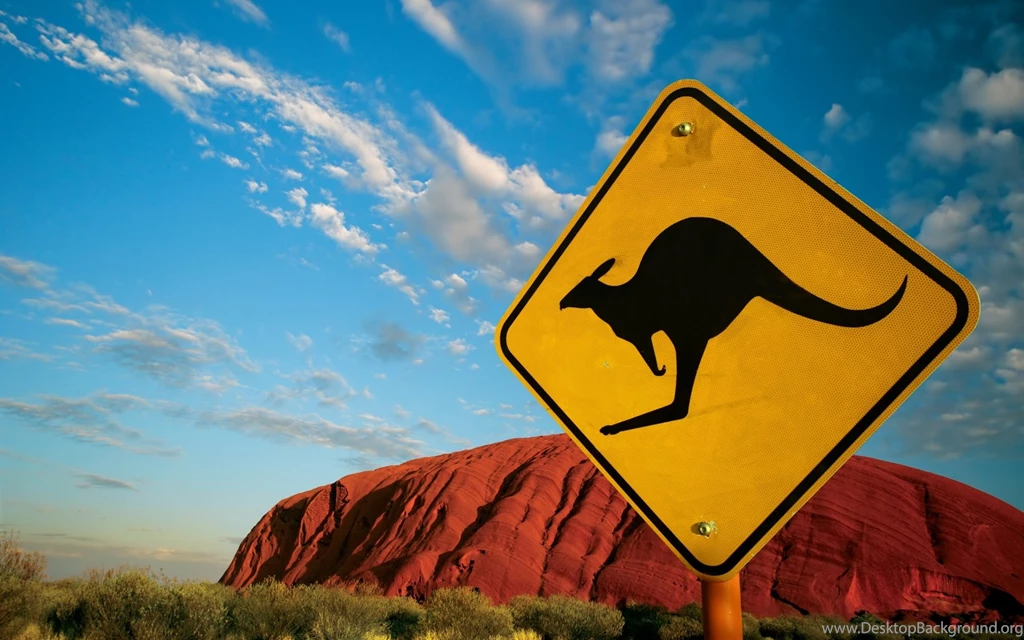 17 HD Kangaroo Wallpapers HDWallSource.com