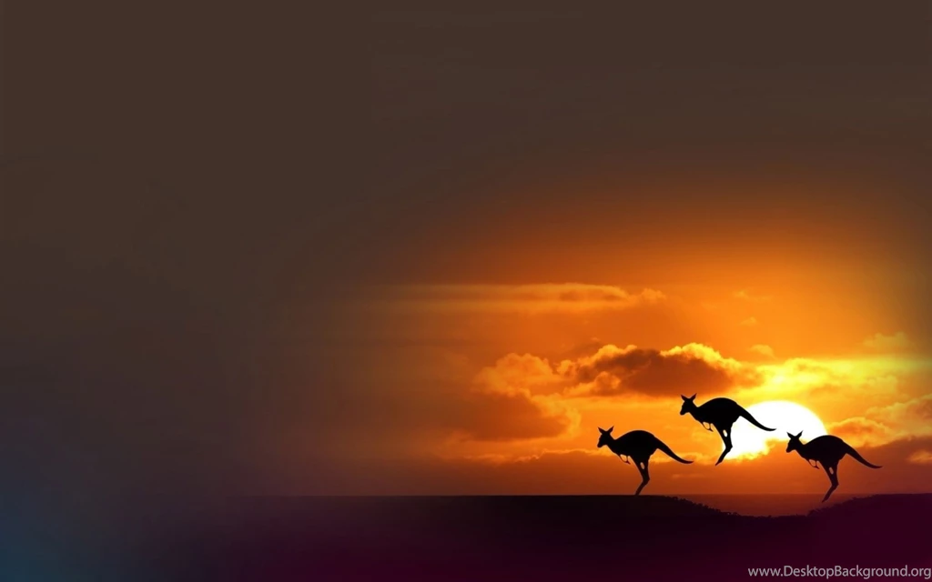 Animal Desktop Backgrounds The Sunset Kangaroo Photography ...