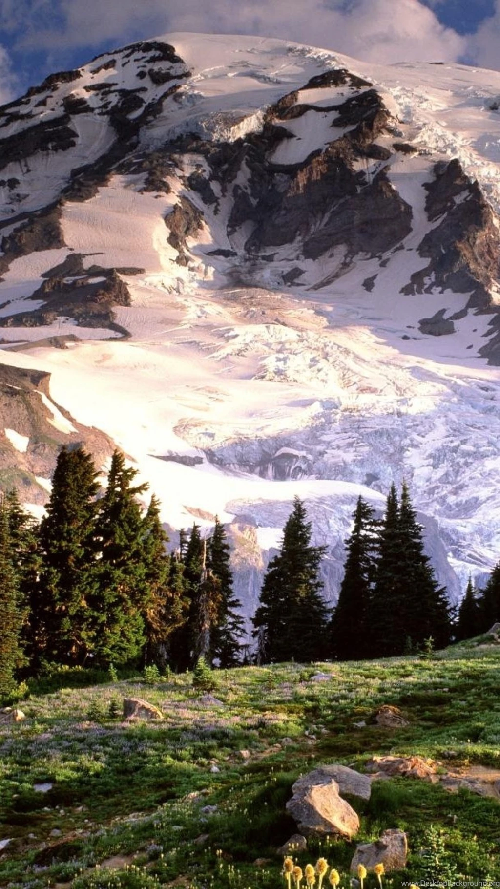 1080x1920 Mount Rainier National Park Galaxy S4 Wallpapers