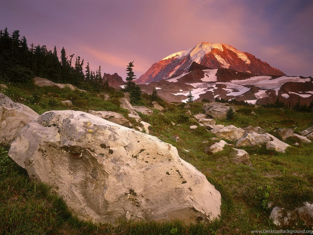 Spray Park Mount Rainier Washington