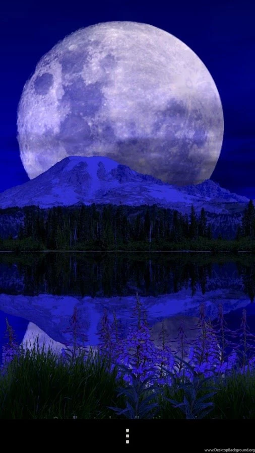 Mount Rainier Free Android Apps On Google Play