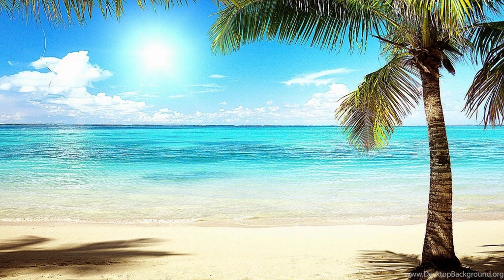 Palm Beach