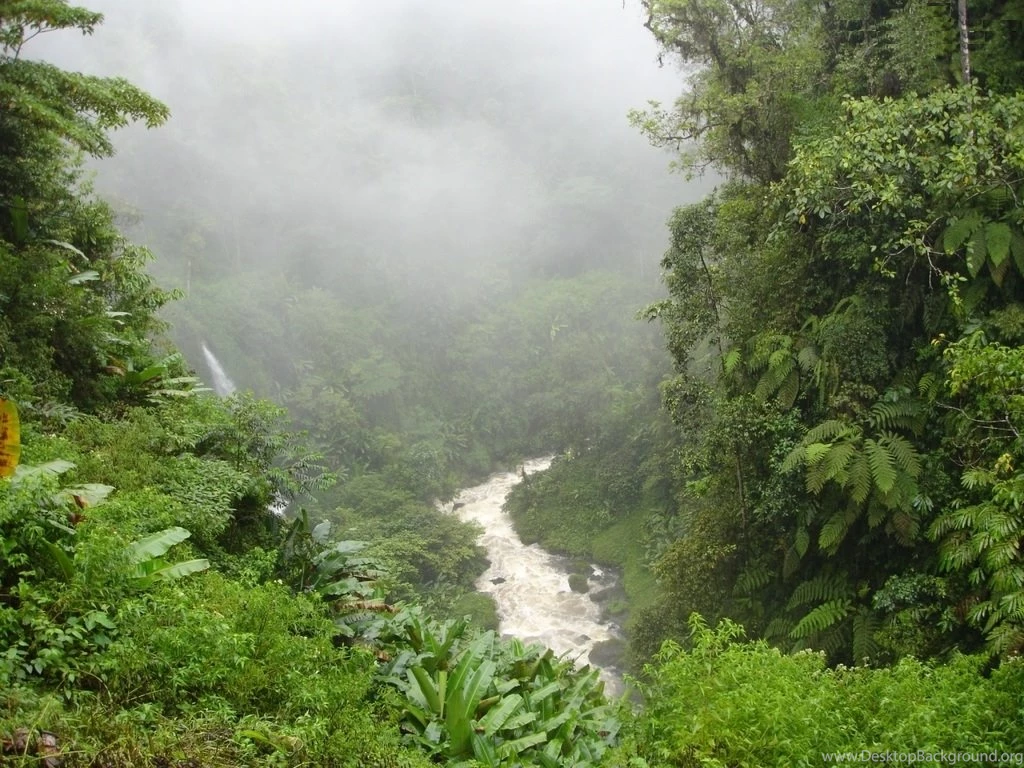 Wallpapers Hd Nature Free High Resolution Widescreen Greenery View ...