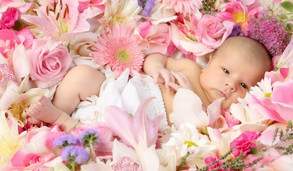 HD Babys With Flowers Cute Baby Lying Wallpapers