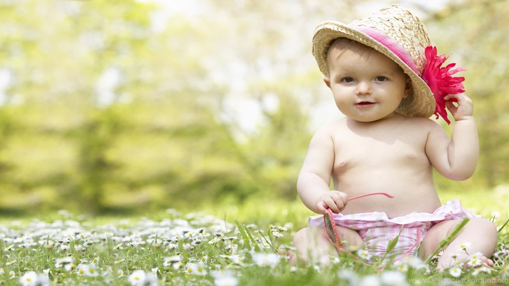 HD Wallpapers Freebie Quality Free Download Wallpapers
