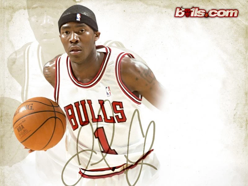Chicago Bulls 2003.04 Wallpapers