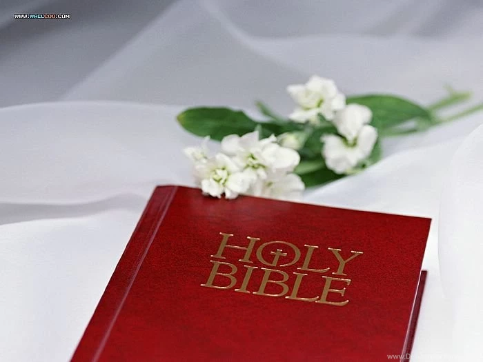 Flower & Holy Bible Wedding Wallpapers 12 Wallcoo.net