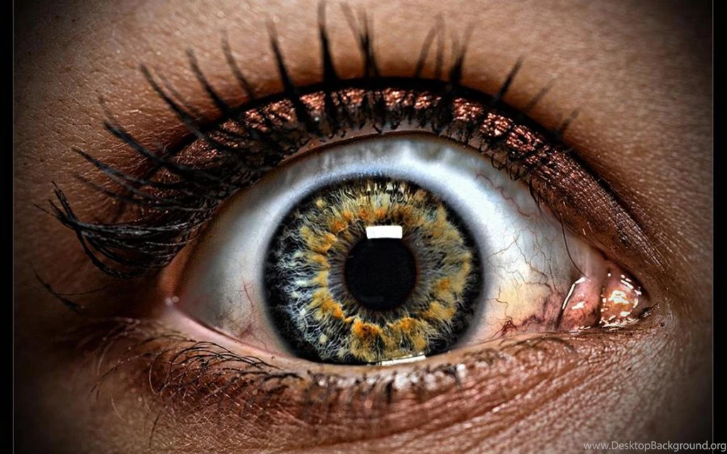 Horror Evil Eyes In Fear Wallpapers 1440x900