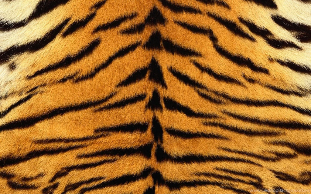 Tiger Fur Backgrounds Typta.com