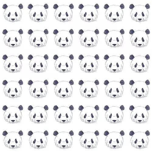 Panda   Image