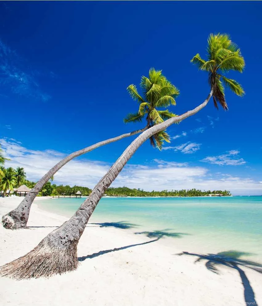 Buy Wallpapers Inc Beach Wall Decor Online At Low Price In India ...