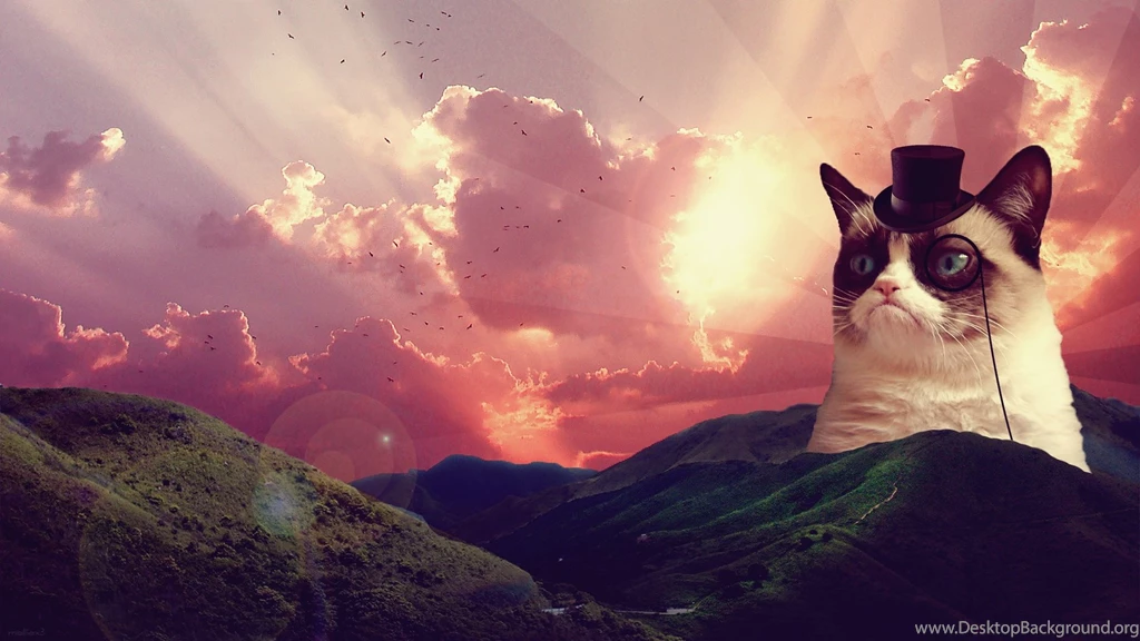 Grumpy Cat Wallpapers