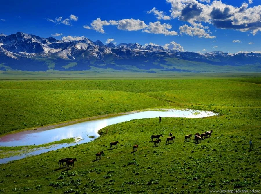 Beautiful Mongolia