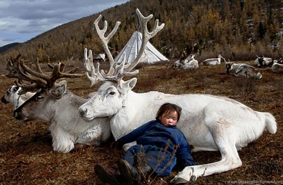 Things That Happen To Be Nomads Living In Constant Contact With ...
