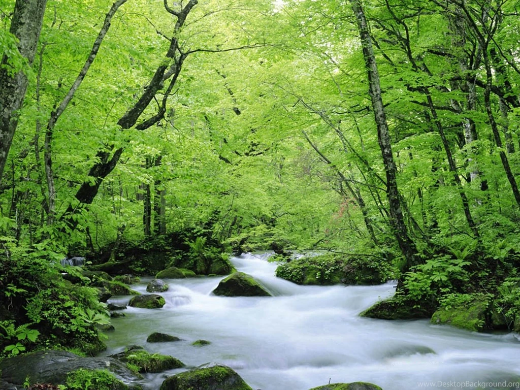 Nature Wallpapers Computer HD Wallpapers And Pictures