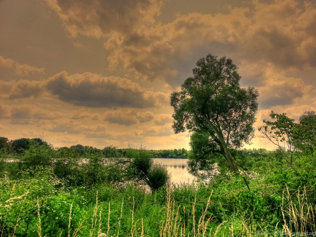 Painted Wild >> HD Wallpaper, Get It Now!