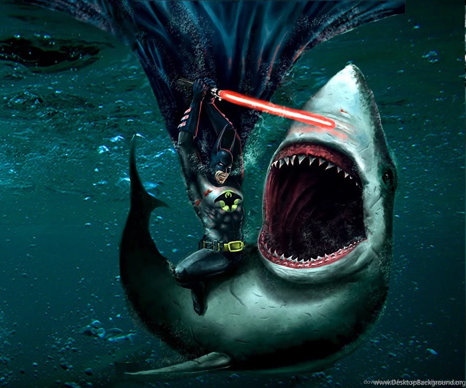 Download Batman Versus White Shark Wallpapers For Samsung Epic