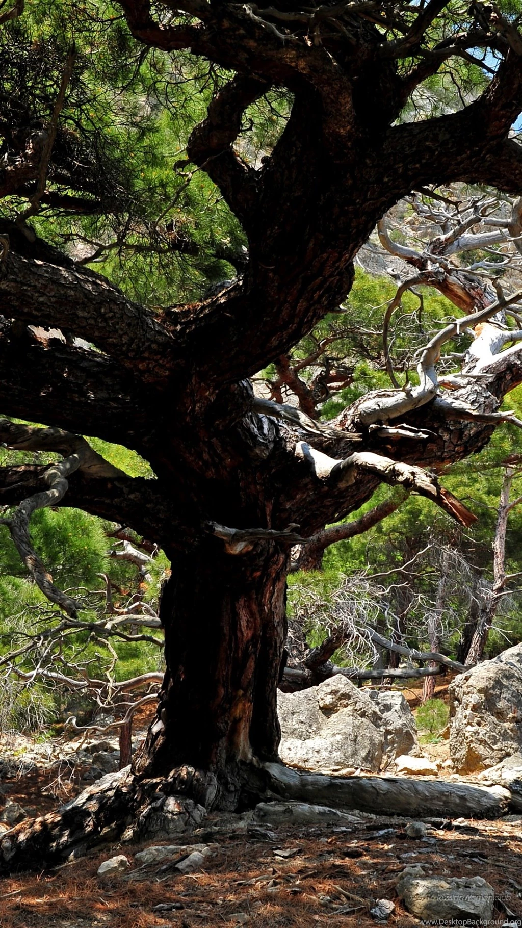 1080 X 1920 Wallpapers Travel. Full HD 1080x1920   Pretty Wallpapers ...