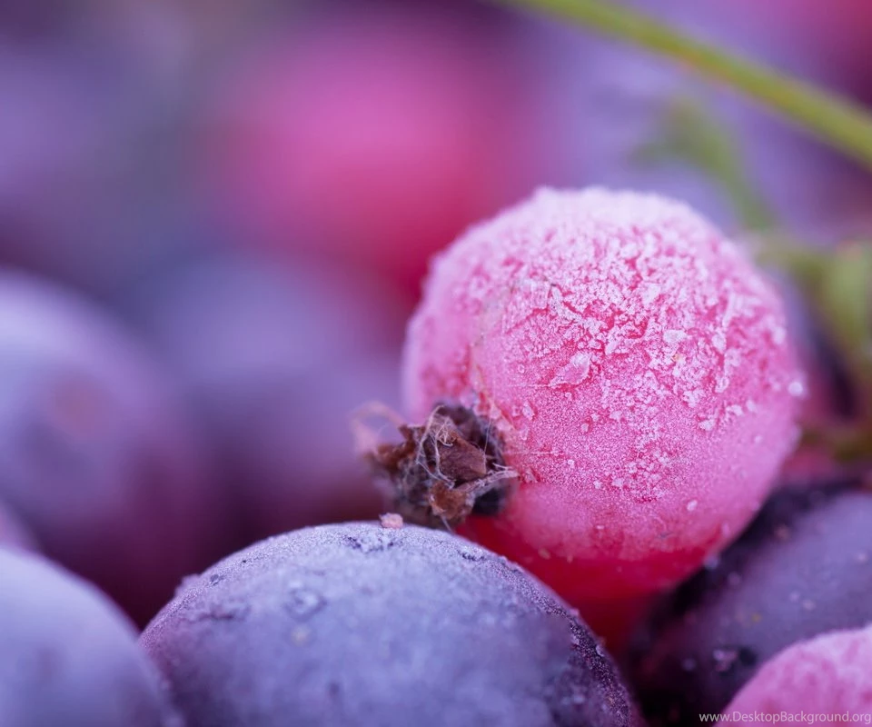 Fruit Display Pictures Wallpapers