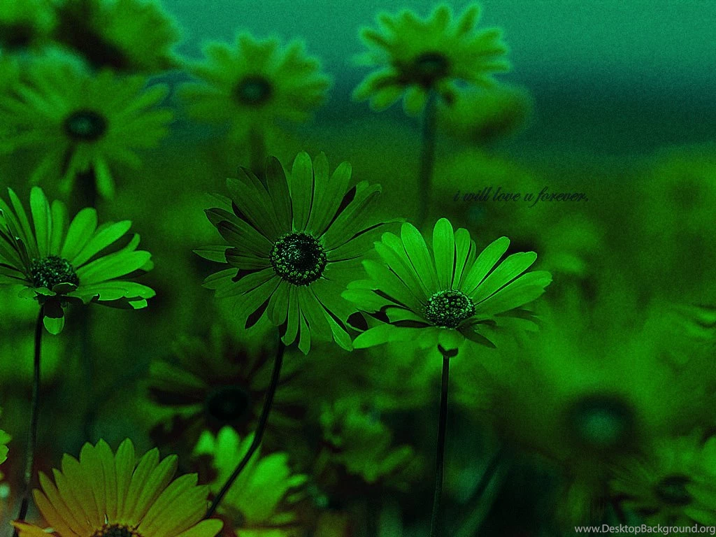 Mobile Best Wallpapers Wallpapers HD Fine