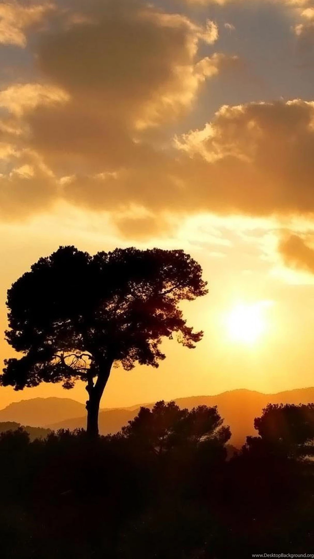 Landscape HD Wallpapers, Desktop Backgrounds, Mobile Wallpapers ...